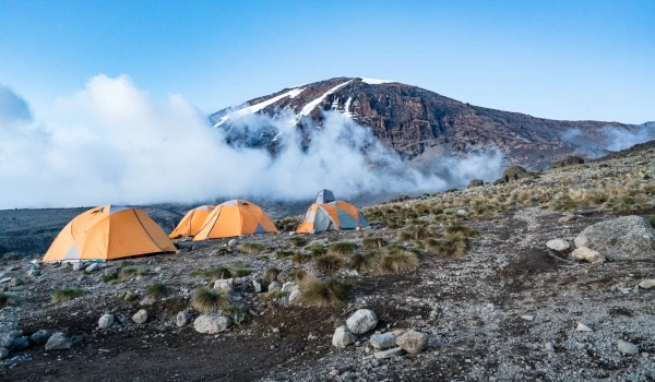 Kilimanjaro trek