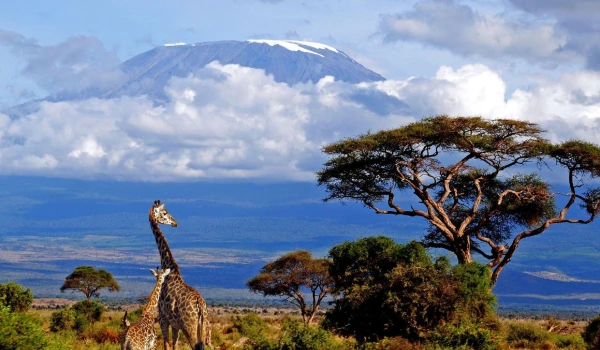 Kilimanjaro machame Route