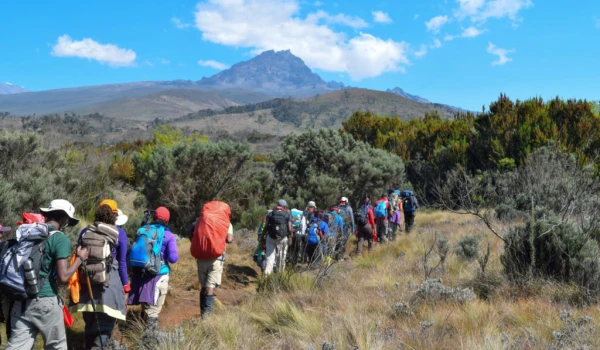 Kilimanjaro lemosho Route