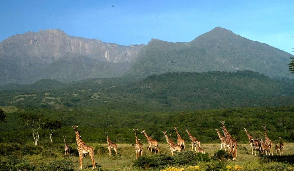 Mount meru