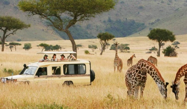 Ngorongoro