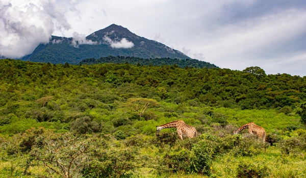 Arusha National Park