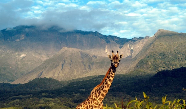 Arusha National Park