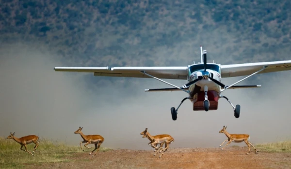 Tanzania Flying