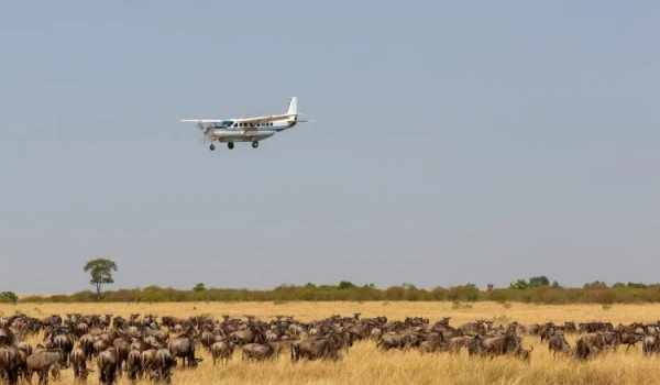 Tanzania Flying