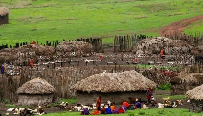 ngorongoro