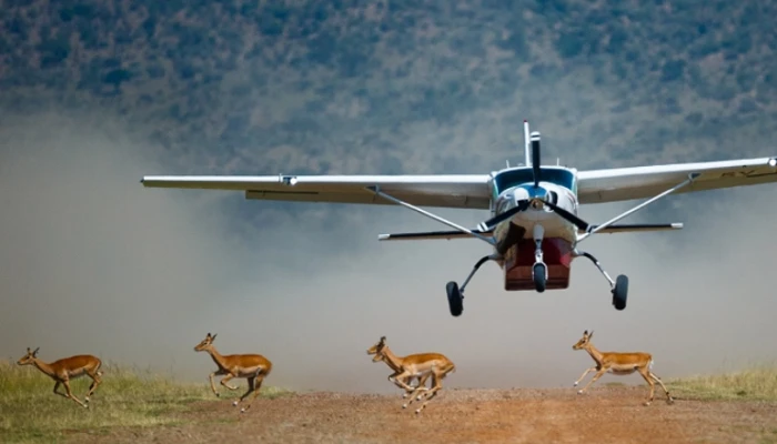 SERENGETI NATIONAL PARK