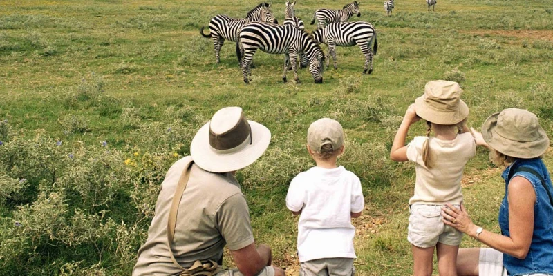 Family Tours