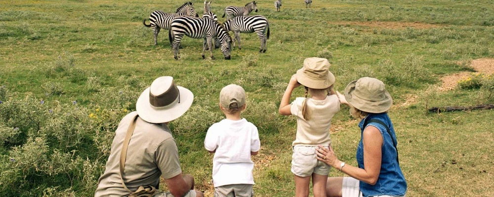 Family safari