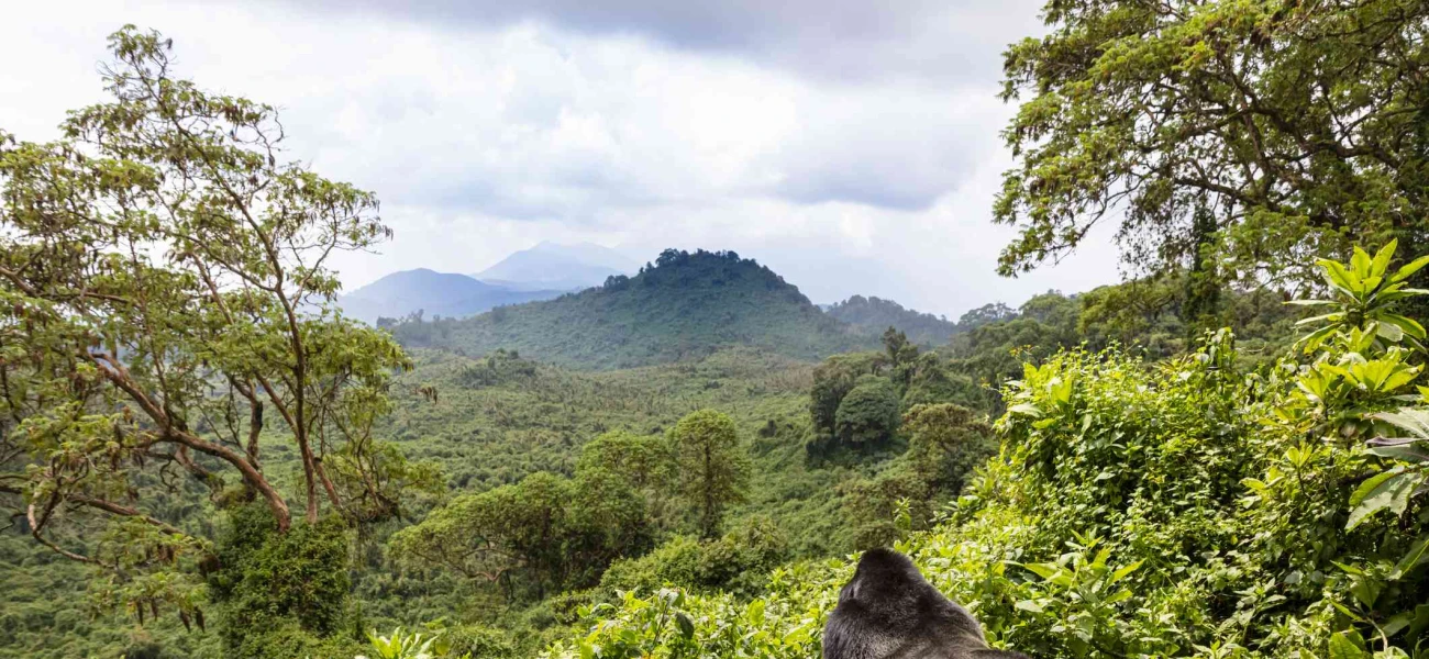  Akagera National Park