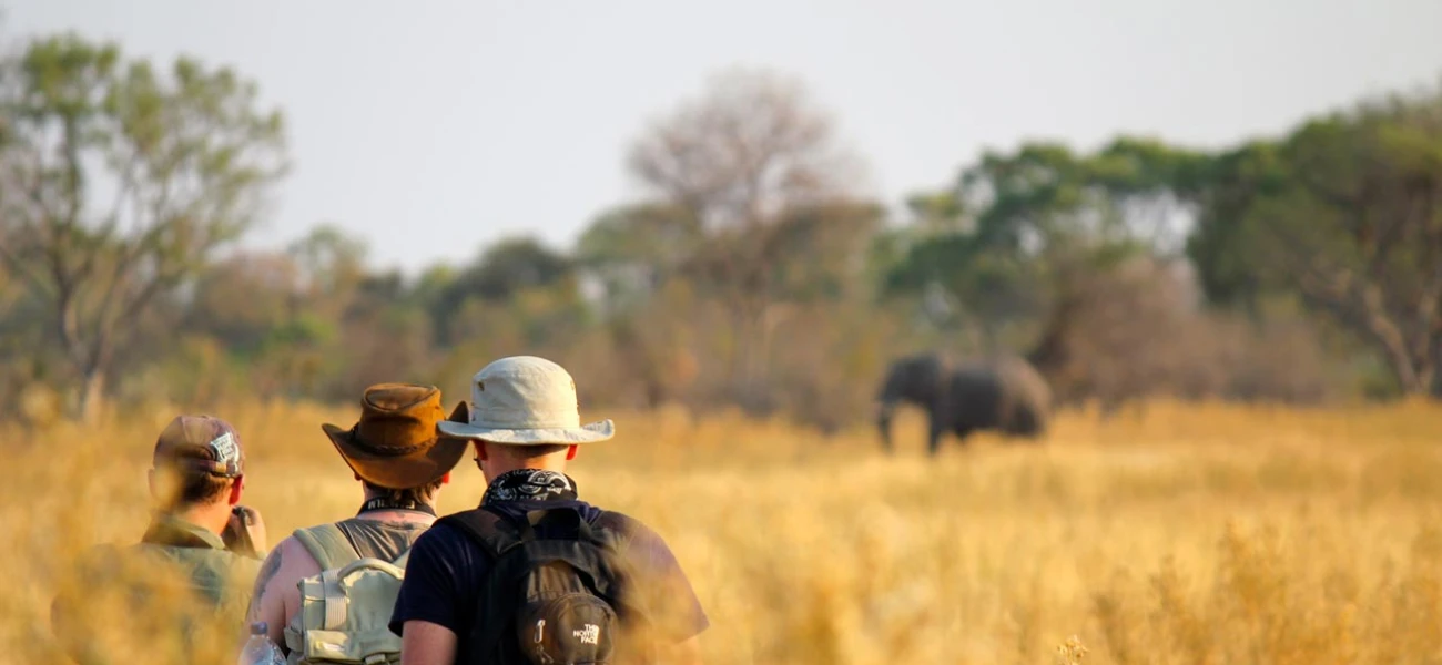 kenya safaris