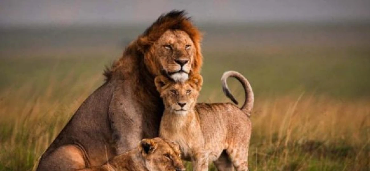 SERENGETI NATIONAL PARK