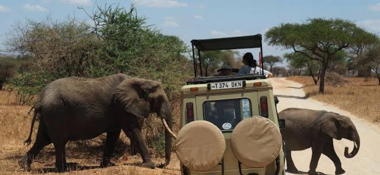 kenya safaris