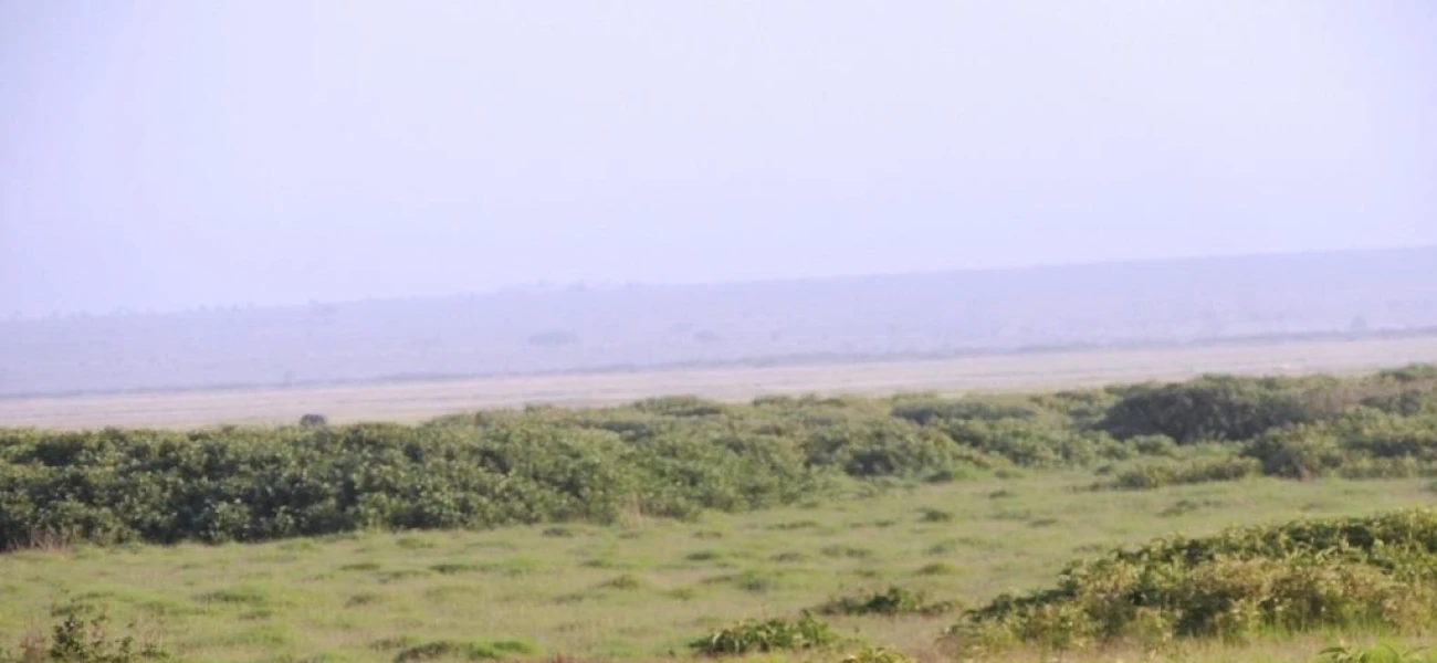 Ngorongoro Crater