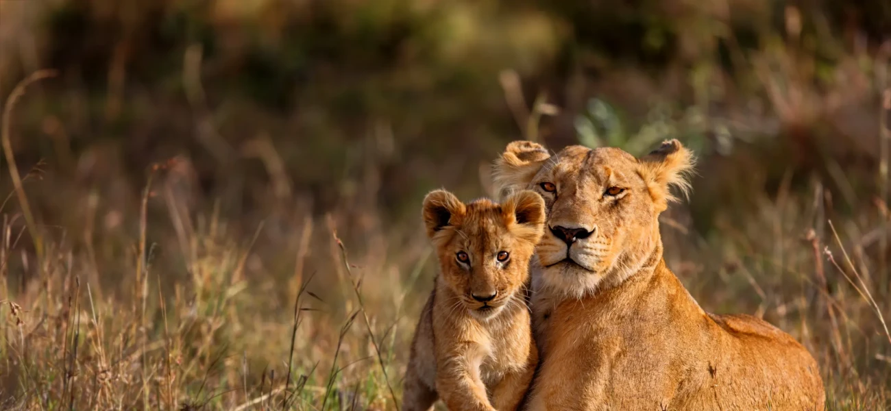 Ngorongoro Crater